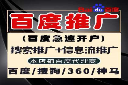 探索百度竞价代理的未来发展趋势与挑战